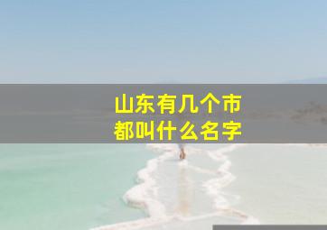 山东有几个市都叫什么名字