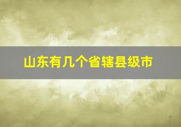 山东有几个省辖县级市