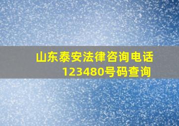 山东泰安法律咨询电话123480号码查询