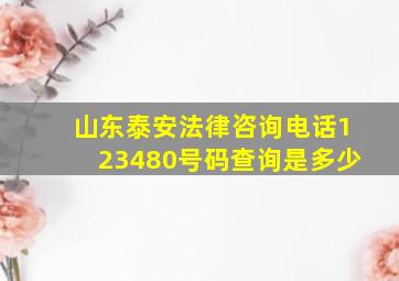 山东泰安法律咨询电话123480号码查询是多少