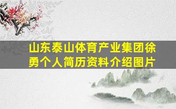 山东泰山体育产业集团徐勇个人简历资料介绍图片