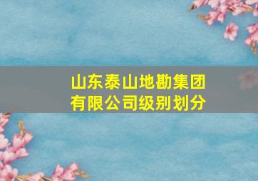 山东泰山地勘集团有限公司级别划分