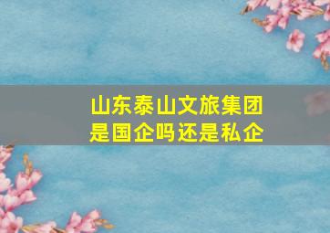 山东泰山文旅集团是国企吗还是私企