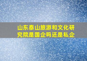 山东泰山旅游和文化研究院是国企吗还是私企