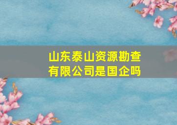 山东泰山资源勘查有限公司是国企吗