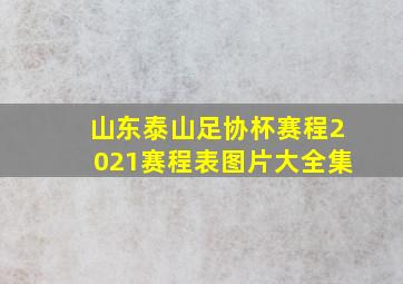 山东泰山足协杯赛程2021赛程表图片大全集