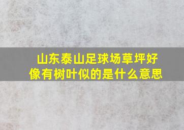 山东泰山足球场草坪好像有树叶似的是什么意思