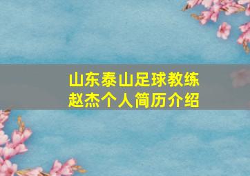 山东泰山足球教练赵杰个人简历介绍