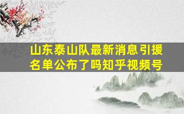 山东泰山队最新消息引援名单公布了吗知乎视频号