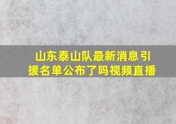 山东泰山队最新消息引援名单公布了吗视频直播