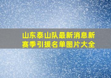 山东泰山队最新消息新赛季引援名单图片大全