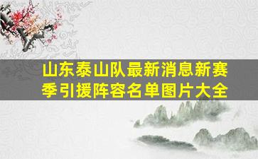 山东泰山队最新消息新赛季引援阵容名单图片大全