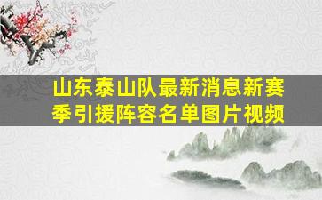 山东泰山队最新消息新赛季引援阵容名单图片视频