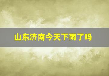 山东济南今天下雨了吗