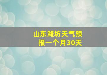 山东潍坊天气预报一个月30天