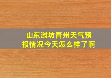 山东潍坊青州天气预报情况今天怎么样了啊