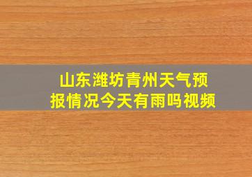 山东潍坊青州天气预报情况今天有雨吗视频