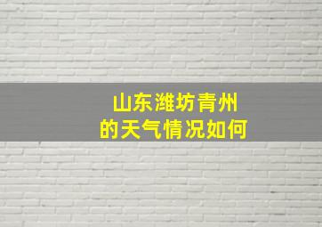 山东潍坊青州的天气情况如何