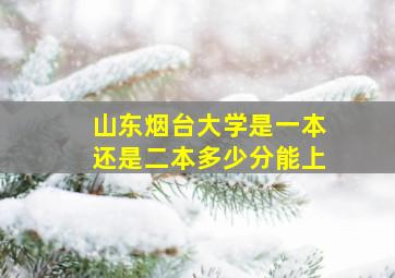 山东烟台大学是一本还是二本多少分能上