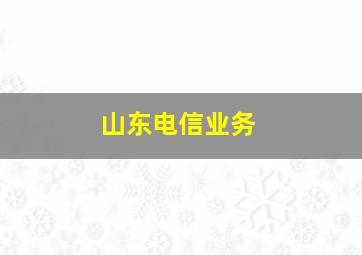 山东电信业务