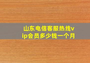 山东电信客服热线vip会员多少钱一个月