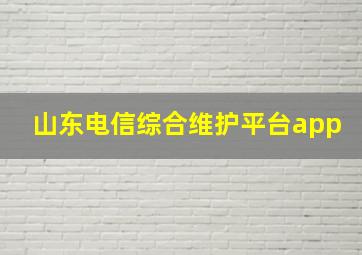 山东电信综合维护平台app