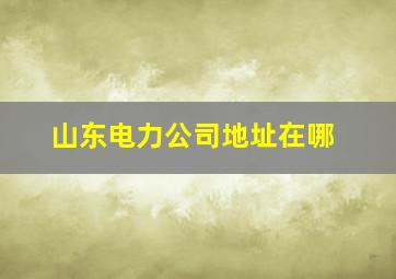 山东电力公司地址在哪