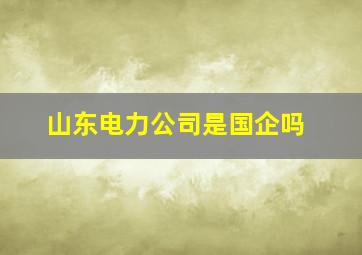 山东电力公司是国企吗