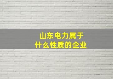 山东电力属于什么性质的企业