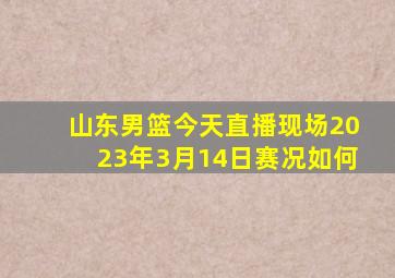 山东男篮今天直播现场2023年3月14日赛况如何