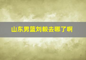 山东男篮刘毅去哪了啊