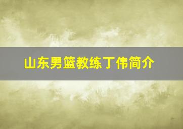 山东男篮教练丁伟简介