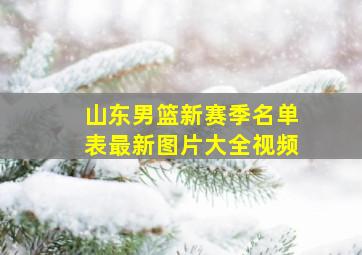 山东男篮新赛季名单表最新图片大全视频