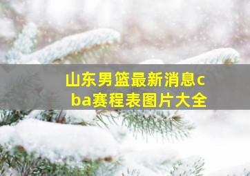 山东男篮最新消息cba赛程表图片大全