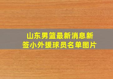 山东男篮最新消息新签小外援球员名单图片