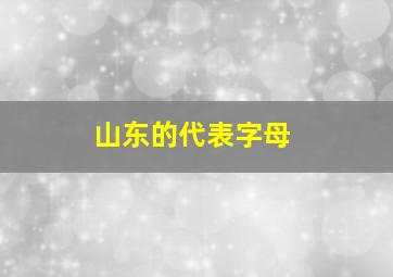 山东的代表字母