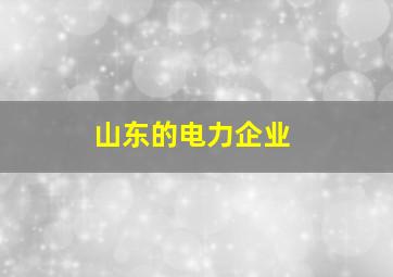 山东的电力企业