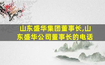 山东盛华集团董事长,山东盛华公司董事长的电话