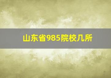 山东省985院校几所