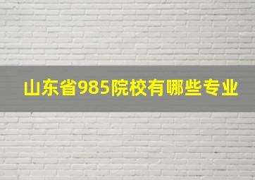 山东省985院校有哪些专业