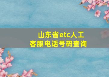 山东省etc人工客服电话号码查询