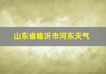 山东省临沂市河东天气