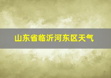 山东省临沂河东区天气