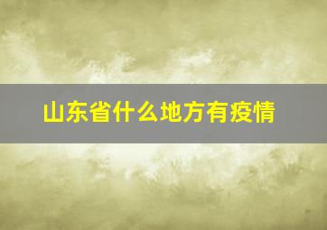 山东省什么地方有疫情