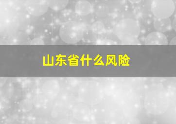 山东省什么风险