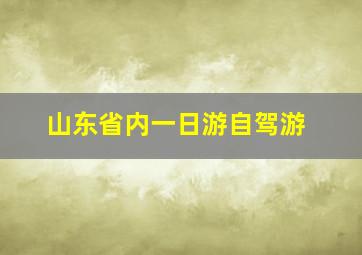 山东省内一日游自驾游