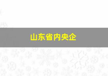 山东省内央企