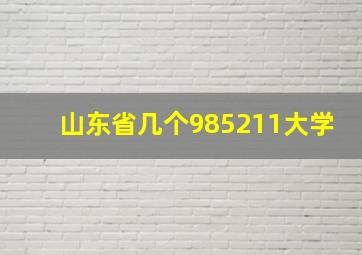 山东省几个985211大学