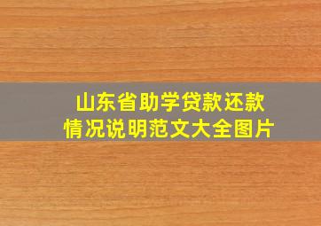 山东省助学贷款还款情况说明范文大全图片