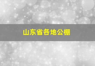 山东省各地公棚